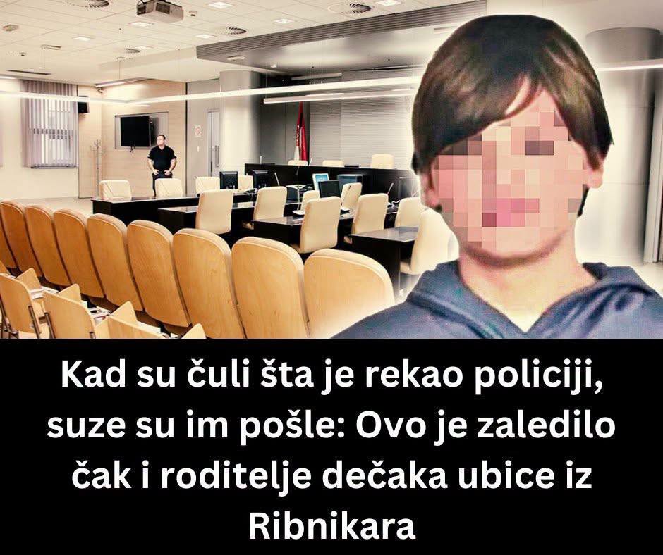 Danas nova odluka u slučaju roditelja maloletnika iz OŠ „Vladislav Ribnikar“: Sud ponovo odlučuje o odgovornosti Vladimira i Miljane Kecmanović - featured image Danas nova odluka u slučaju roditelja maloletnika iz OŠ „Vladislav Ribnikar“: Sud ponovo odlučuje o odgovornosti Vladimira i Miljane Kecmanović - featured image