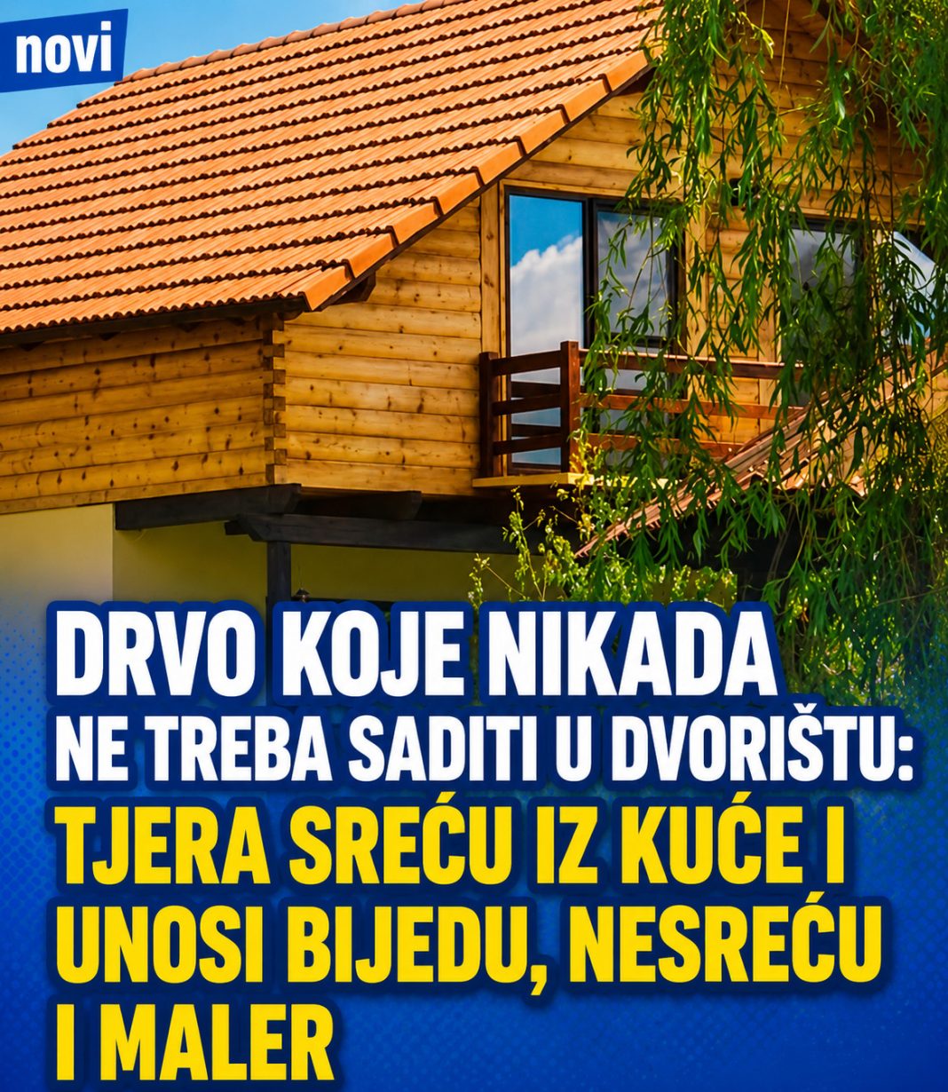 Drvo koje nikada ne treba saditi u dvorištu: Tjera sreću iz kuće i unosi bijedu, nesreću i maler - featured image