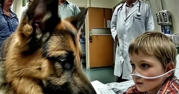 Pre operacije, dečak je jako zagrlio svog psa, ali neočekivano ponašanje ljubimca iznenadilo je sve lekare. - featured image Pre operacije, dečak je jako zagrlio svog psa, ali neočekivano ponašanje ljubimca iznenadilo je sve lekare. - featured image