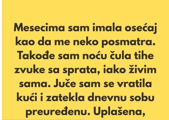 Žena mislila da joj se neko šunja po stanu, a istina je bila mnogo jednostavnija Žena mislila da joj se neko šunja po stanu, a istina je bila mnogo jednostavnija - featured image