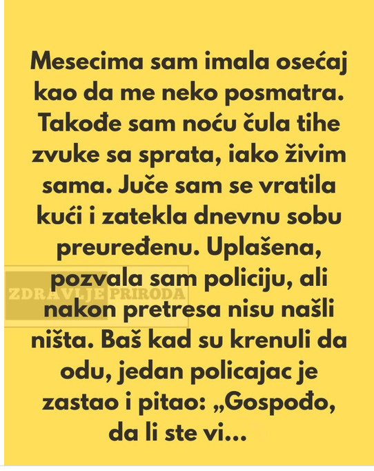 Žena mislila da joj se neko šunja po stanu, a istina je bila mnogo jednostavnija - featured image